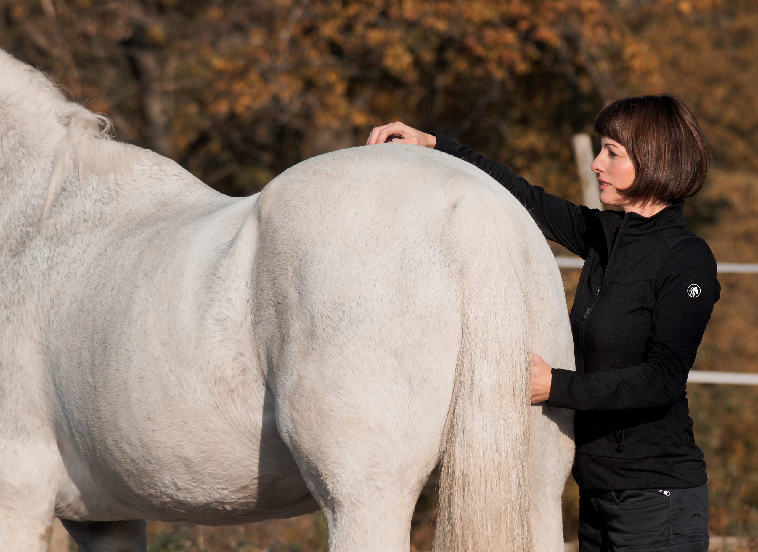 Zu meinen Therapiemethoden zählen: Osteopathie für Pferde, Energetische Pferdeosteopathie, Taping für Pferde, Tierkommunikation und Energetische Fernbehandlung.